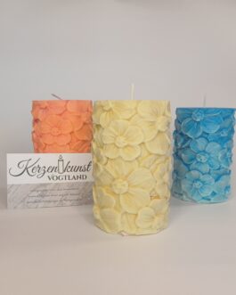 Blumenstumpen Primeln